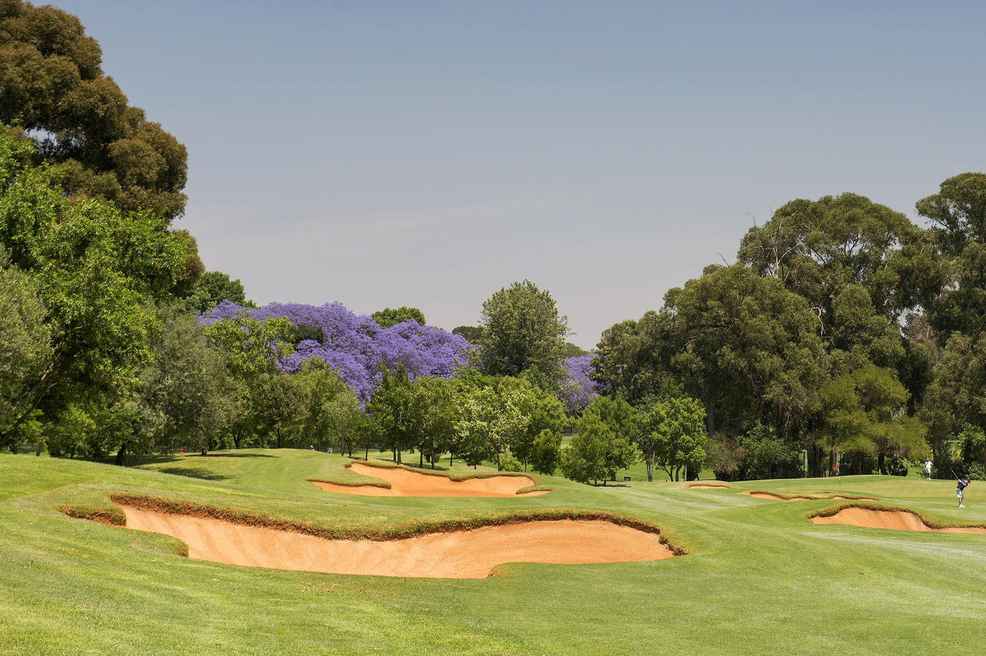 Houghton_golf