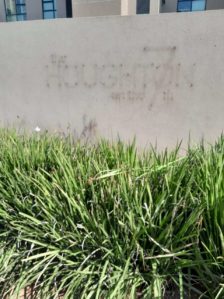 whatsapp-image-2022-07-26-at-1-33-48-pm